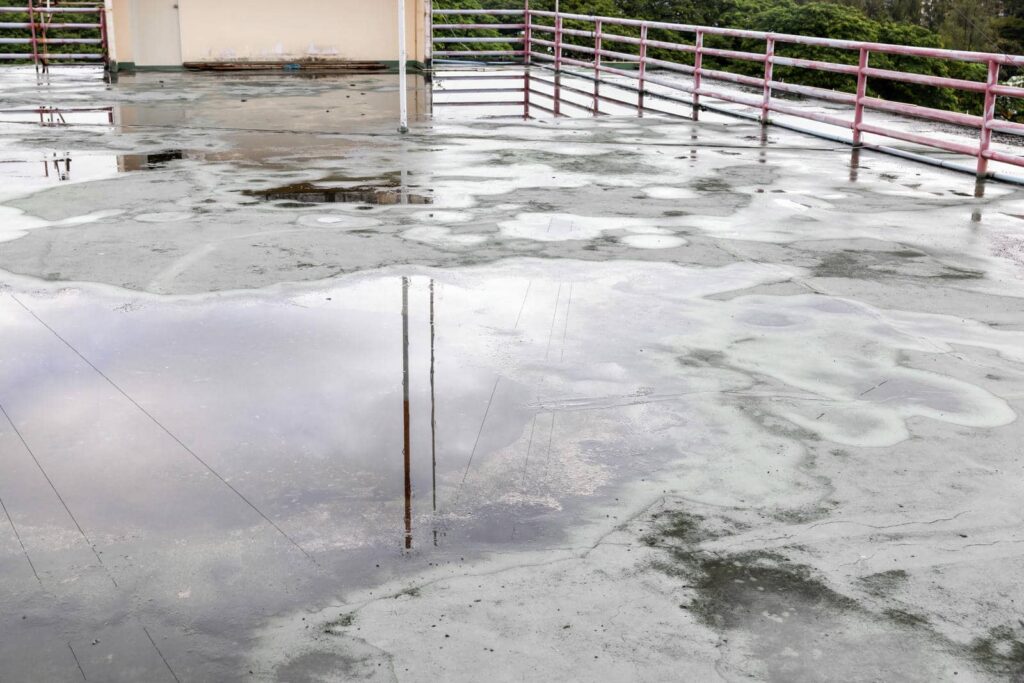 10 Essential Tips for Flat Roof Longevity