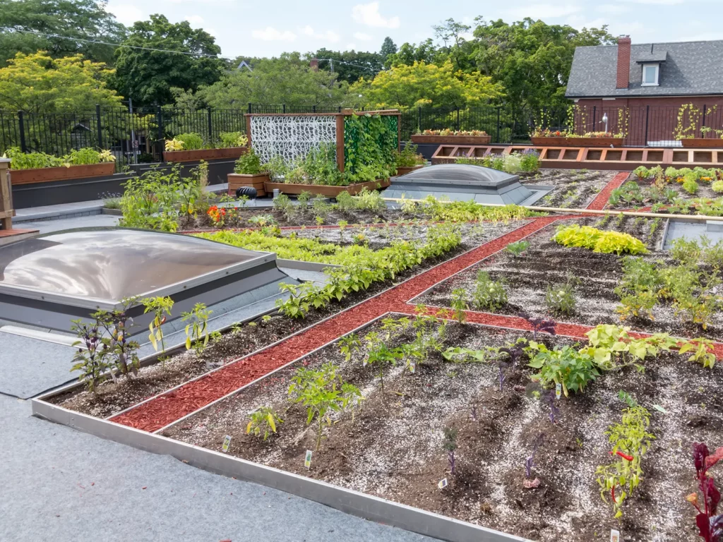 A Green Roofs Revolutionizing Commercial Construction