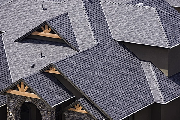 Closeup of a large intricate black rooftop