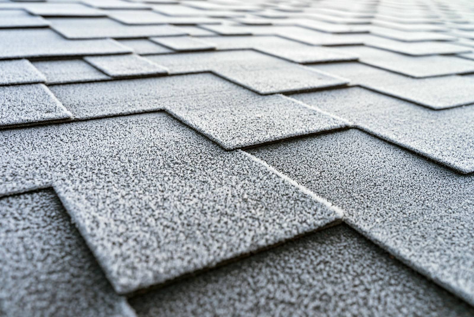 5 Tips for Asphalt Shingle Vs Metal Roofing