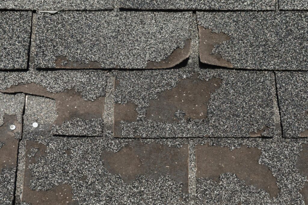 Identifying Common Signs of Roof Damage