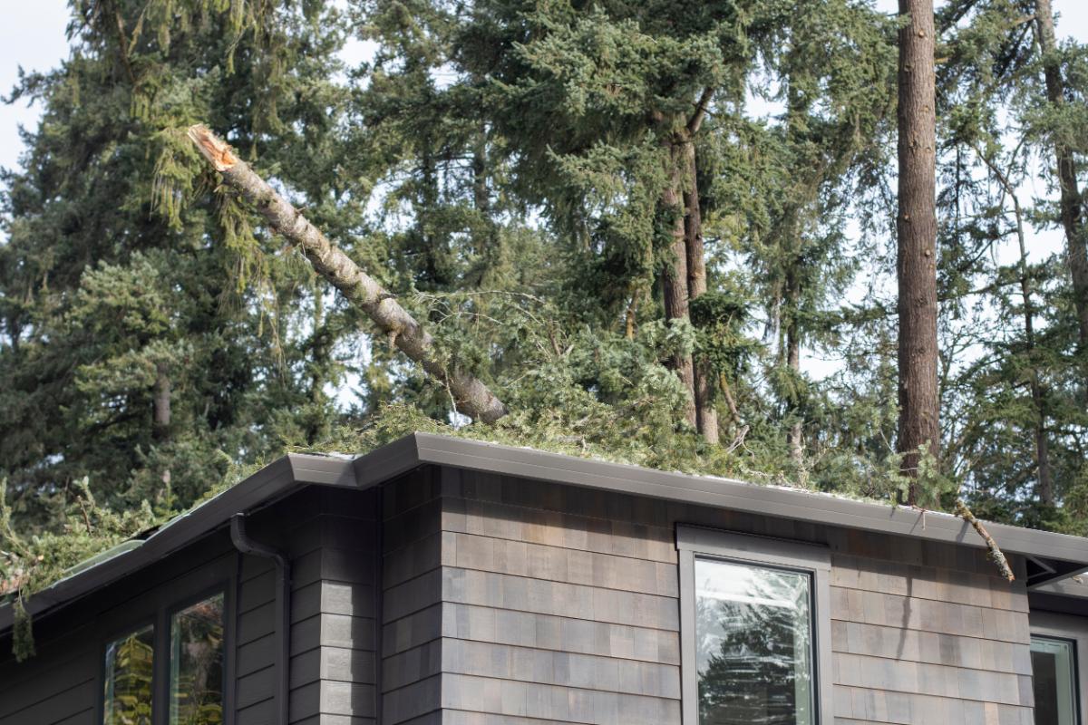 How to Identify Roof Leaks After Storm Damage