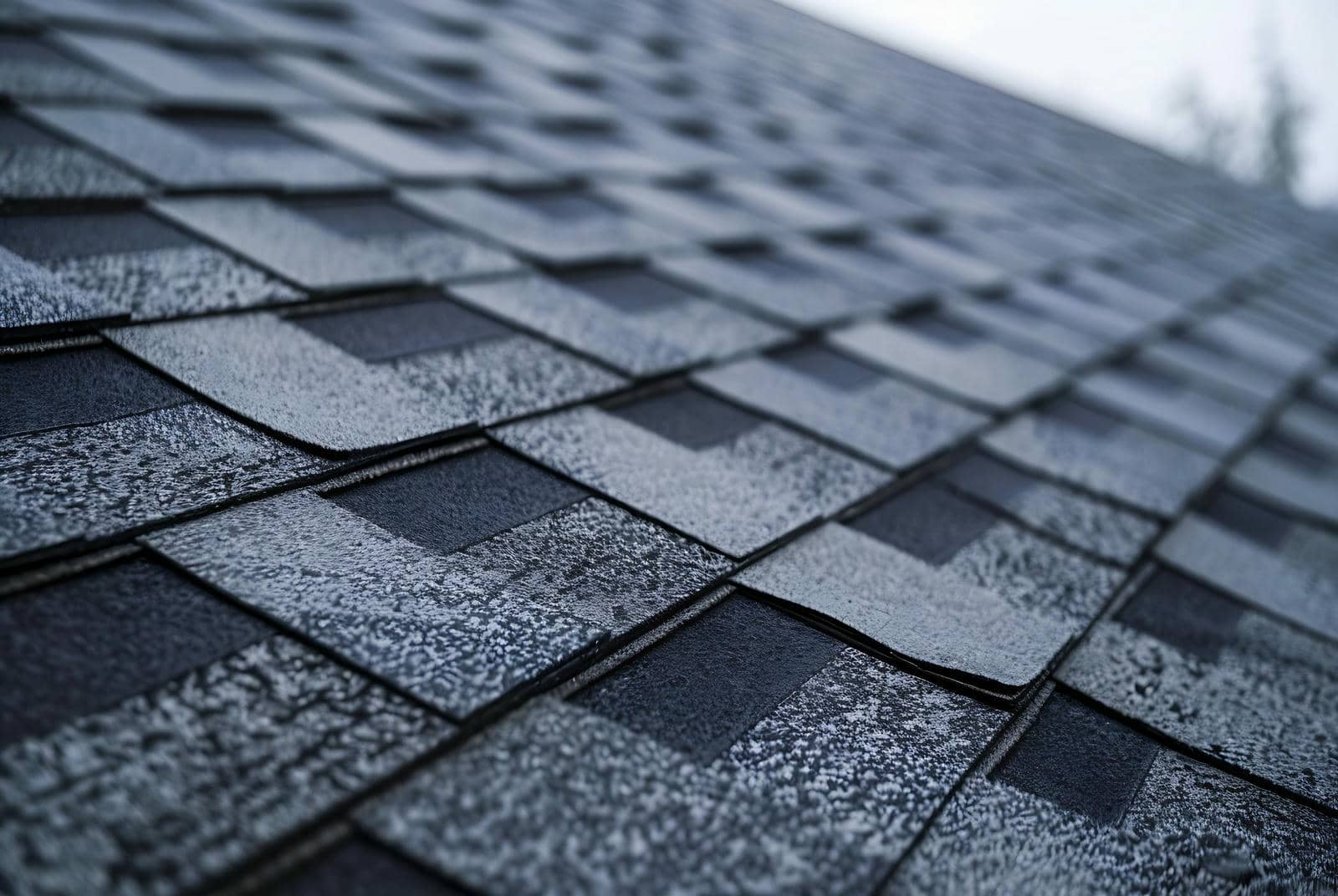 Budget-Friendly Asphalt Shingle Roofing Solutions Revealed