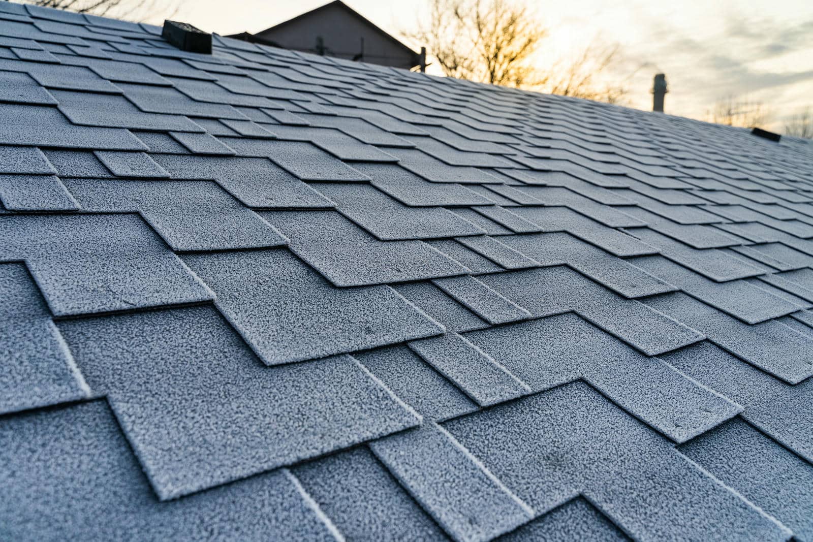 Close-up of a frosted gray shingle roof with a house and trees in the background at sunset.