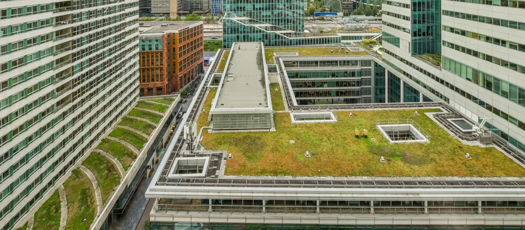 Eco-Smart Roofing Choices for Your Business