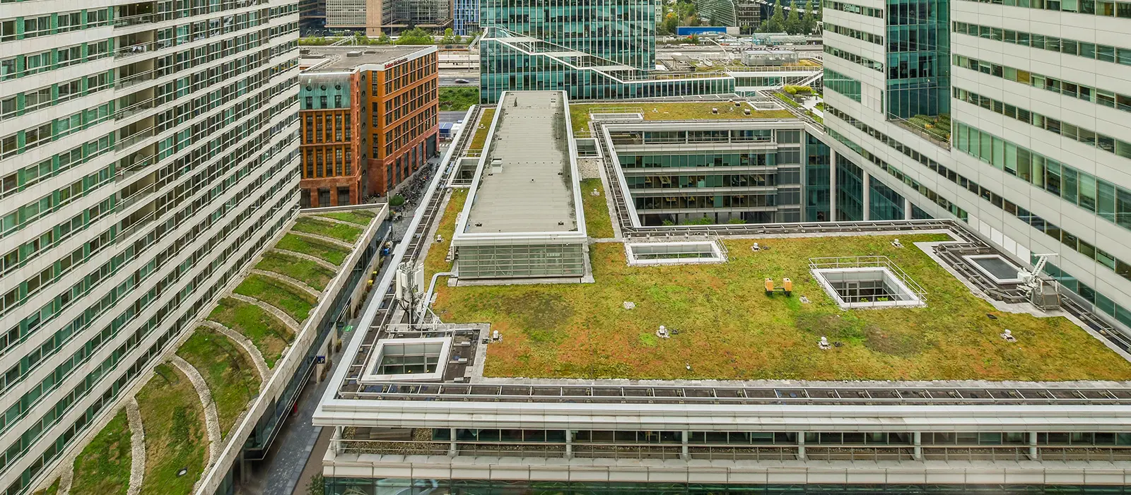 Eco-Smart Roofing Choices for Your Business