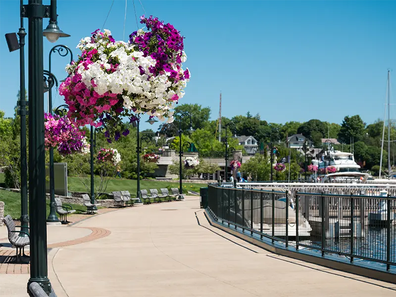 Hanging baskets of pink, white, and purple flowers line a waterfront walkway with benches and boats.