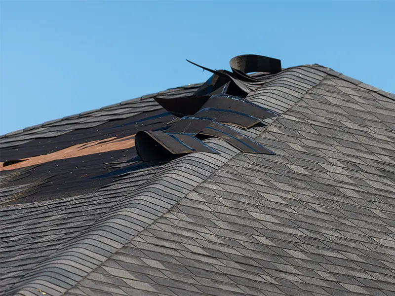 Roof shingles peeling up along the ridge under a clear blue sky.