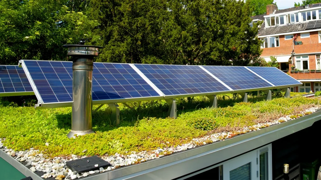 A green roof with solar panels