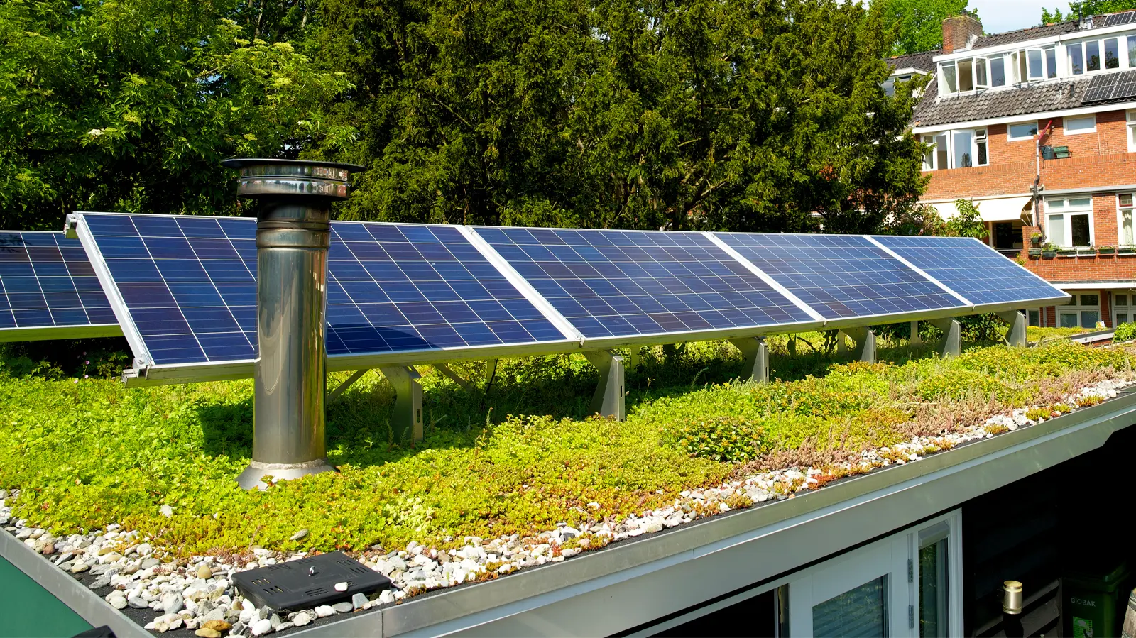 A green roof with solar panels