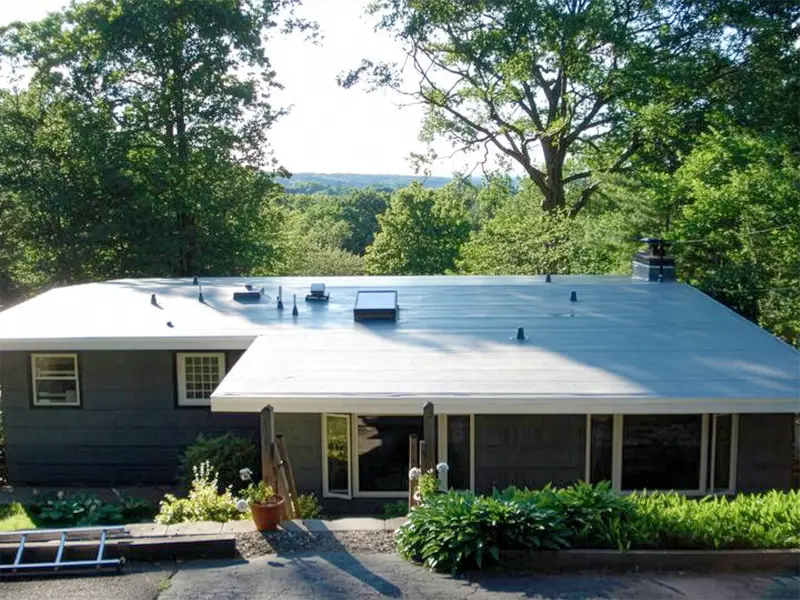 Single-story house with a flat roof surrounded by trees and greenery.
