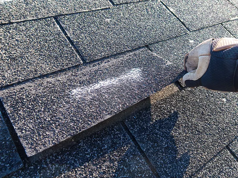 A gloved hand lifting a loose asphalt roof shingle.