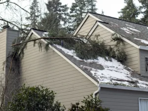 A large tree branch fallen across a snow-dusted roof of a house.