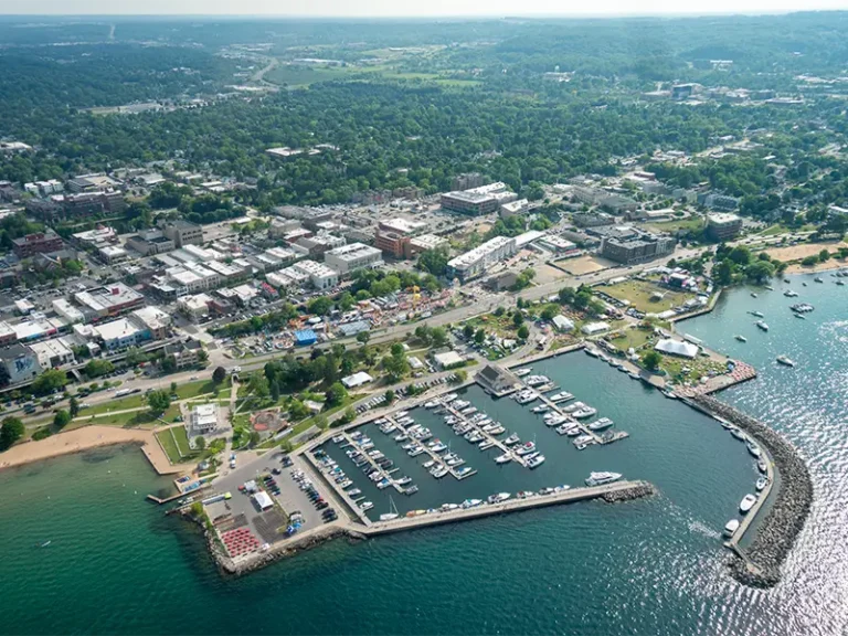 Aerial view of a marina with boats docked, adjacent to a town and green forested area.
